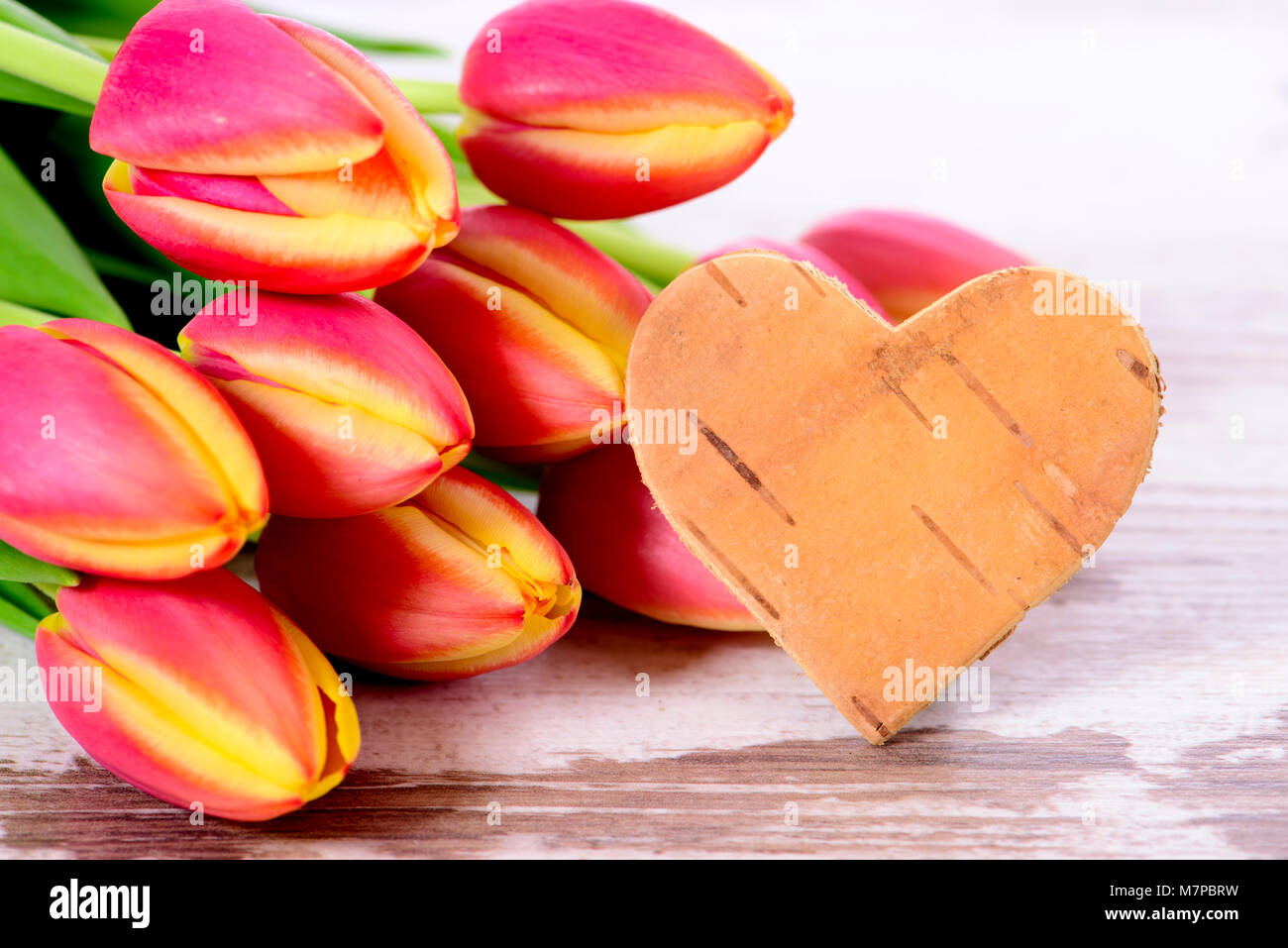 Bündel bunte Tulpen Blumen mit Herz Stockfoto