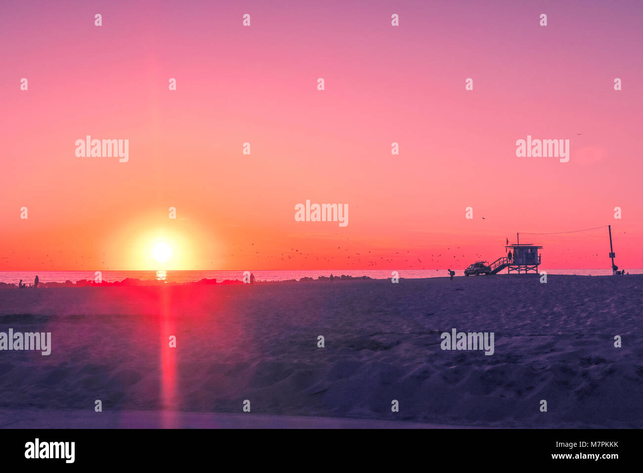 Venice Beach Sonnenuntergang, Los Angeles - Palm Tree Silhouette Stockfoto