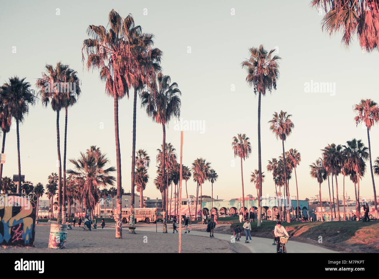 Venice Beach Sonnenuntergang, Los Angeles - Palm Tree Silhouette Stockfoto