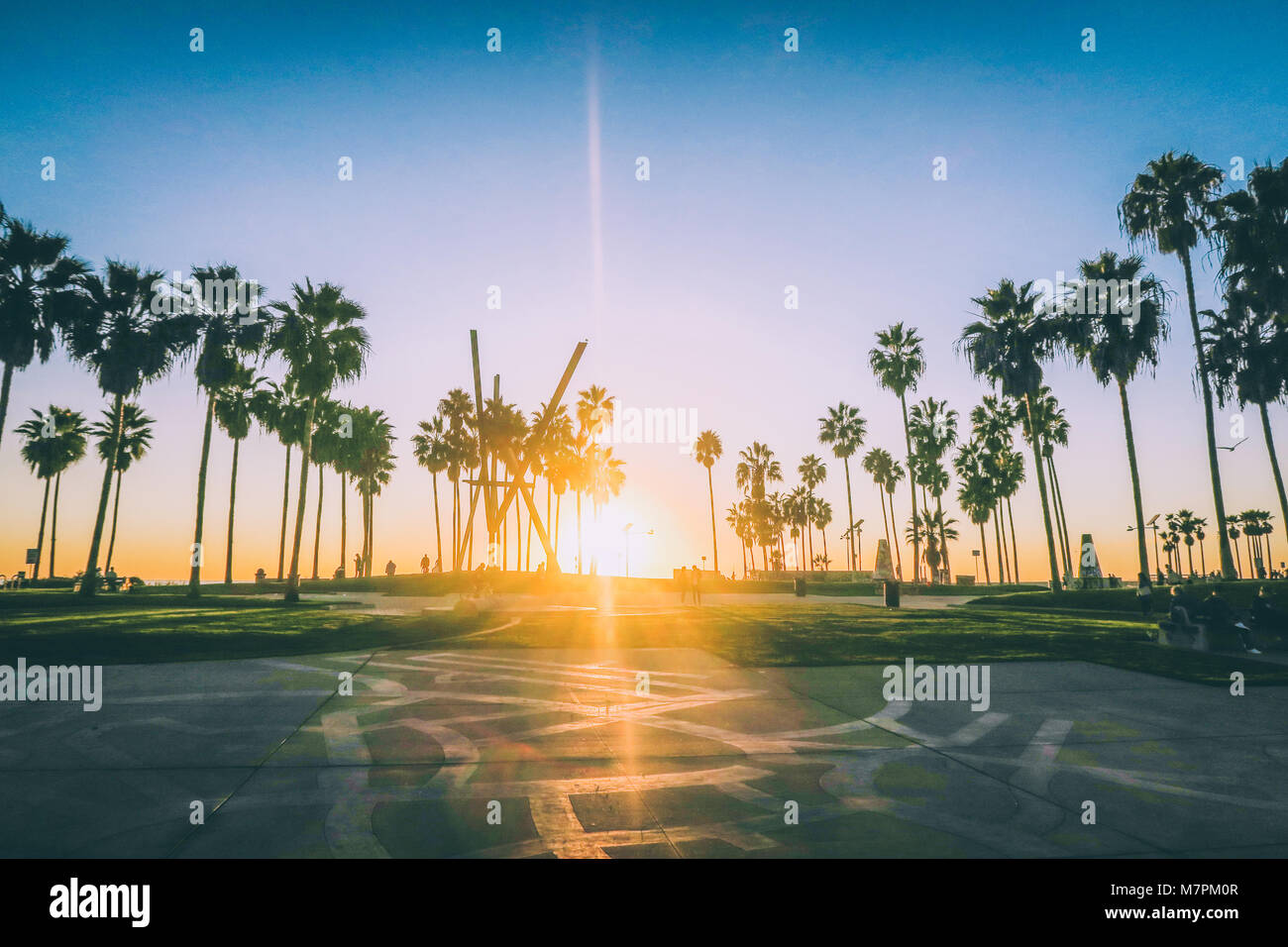 Venice Beach Sonnenuntergang, Los Angeles - Palm Tree Silhouette Stockfoto