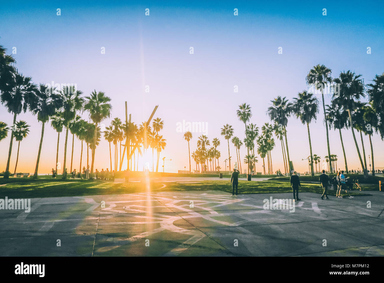 Venice Beach Sonnenuntergang, Los Angeles - Palm Tree Silhouette Stockfoto