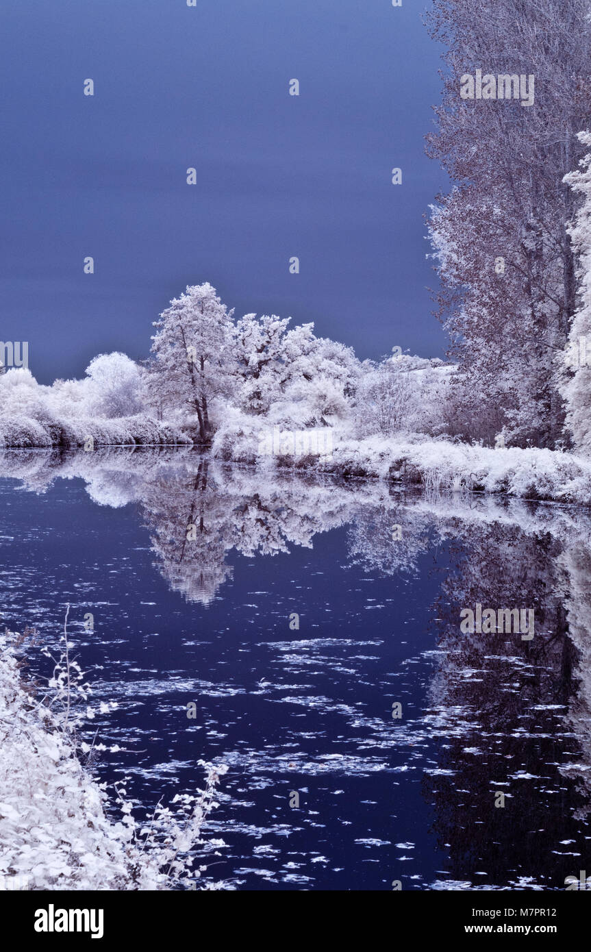 Infrarotbild von Reflexionen von autumanal Bäume im Wasser der Exeter Ship Canal in Exeter, Devon, England, Großbritannien Stockfoto