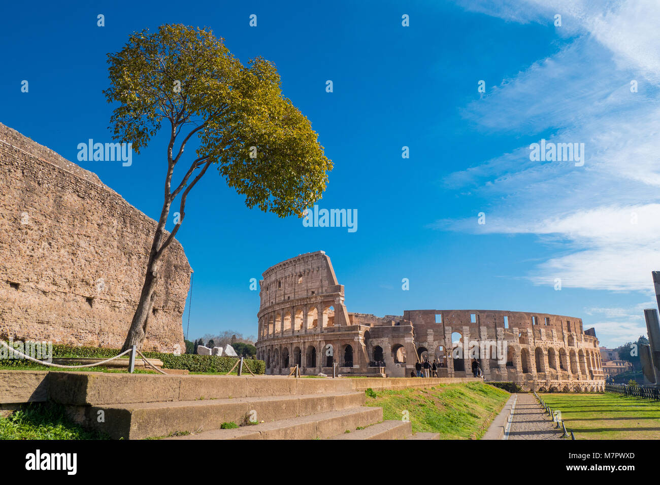 Kolosseum vom Palatin in Rom, Italien Stockfoto