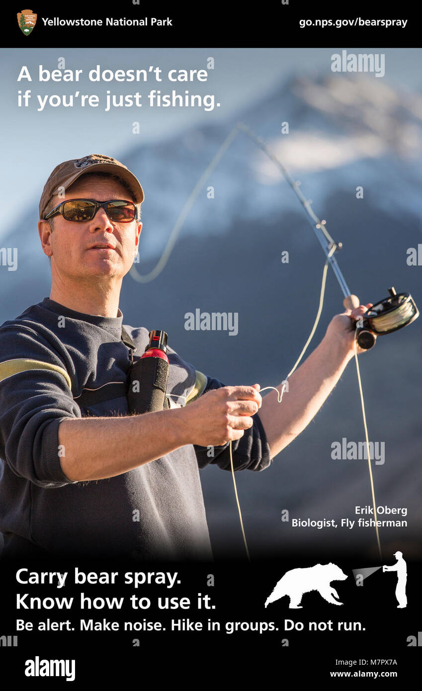 Ein Bär ist es egal, ob Sie gerade angeln Erik Oberg Biologe, Fisherman Fliegen Stockfoto