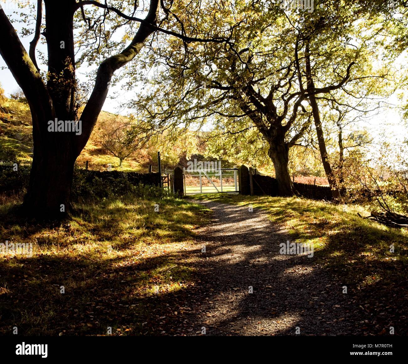 Tor UNSERE DES HOLZES LONGSHAW DERBYSHIRE Stockfoto