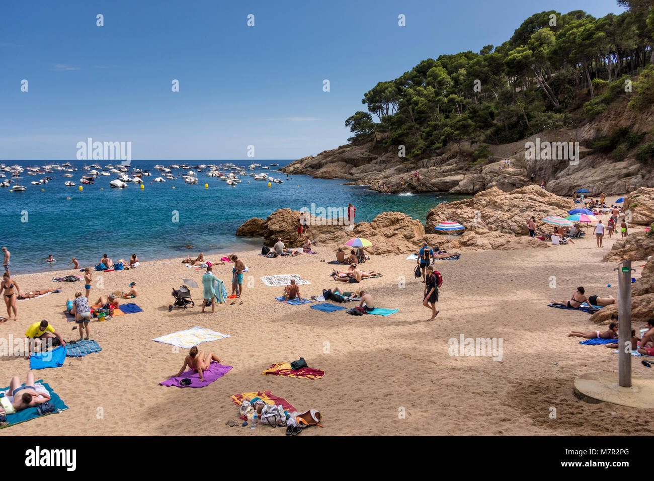 Leute genießen Sommer Sonne am Strand von Tamariu Bay, Baix Emporda, Katalonien Stockfoto