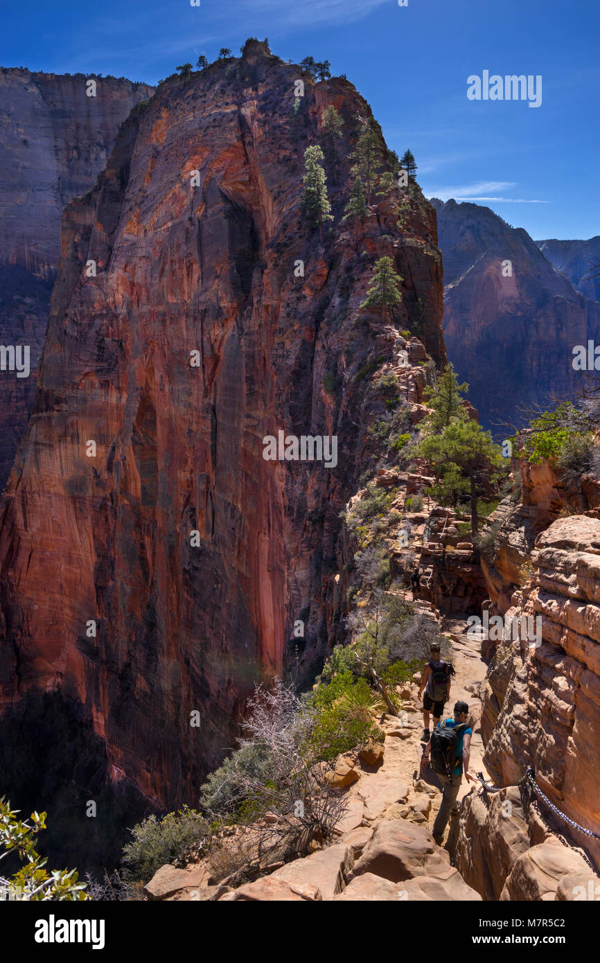 Angels Landing, Zion National Park, Utah, USA Stockfoto