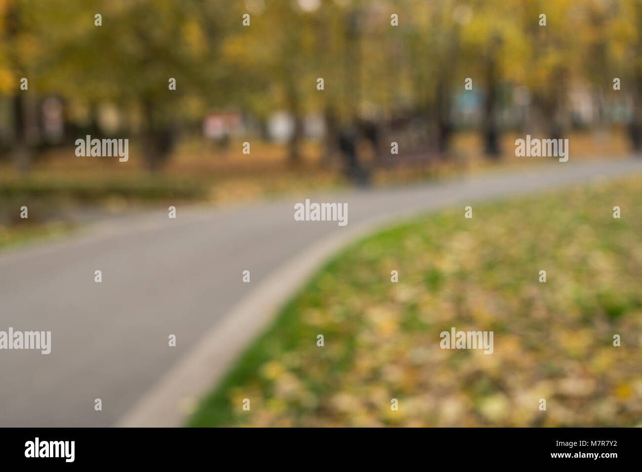 Blätter im Herbst auf der Fußgängerpassage mit Bäumen, die in verschwommene Sicht verschwinden Stockfoto