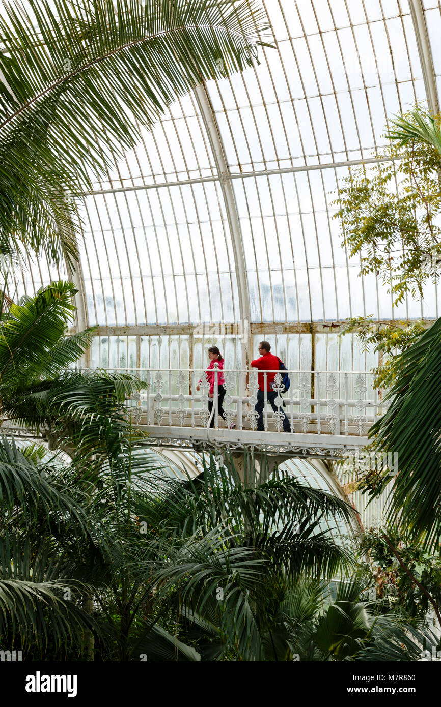London, Großbritannien - 18 April 2014. Die Besucher gehen rund um den Innenraum des Palmenhaus in Kew Gardens. Die Gärten wurden 1840 gegründet. Stockfoto
