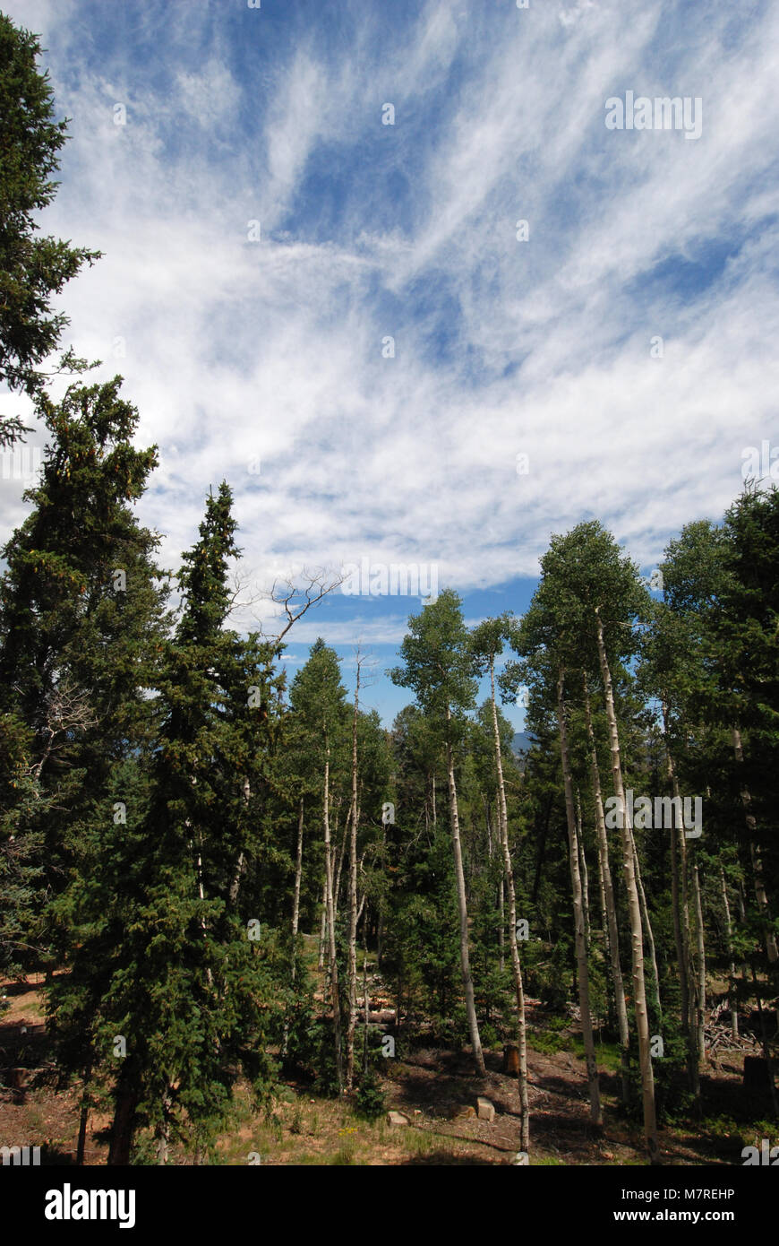 Colorado-Landschaft Stockfoto