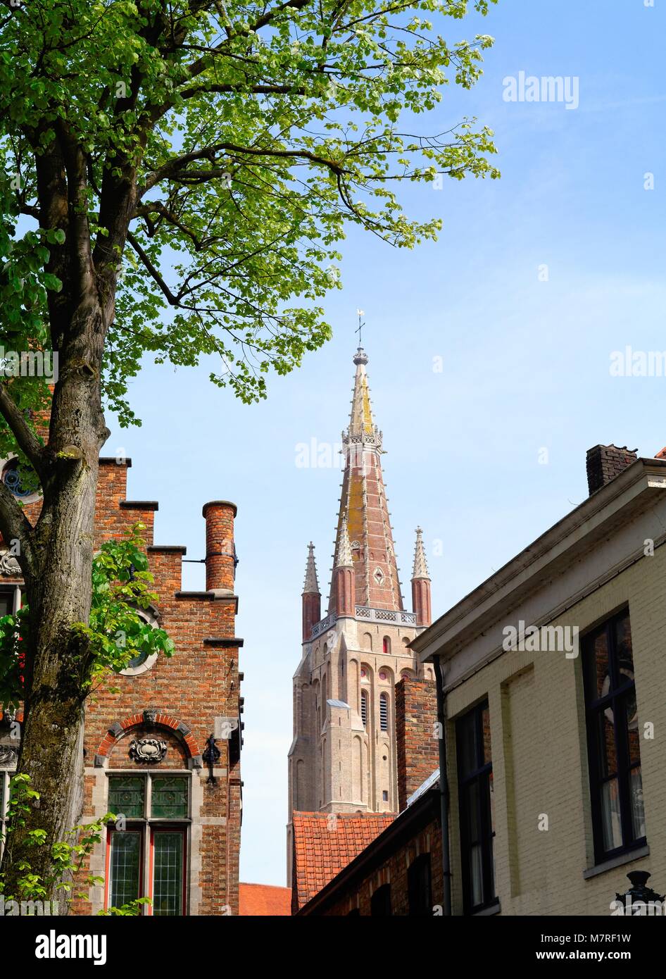 Der Backstein errichtete Turm der Kirche Unserer Lieben Frau von Brügge Belgien Europa Stockfoto