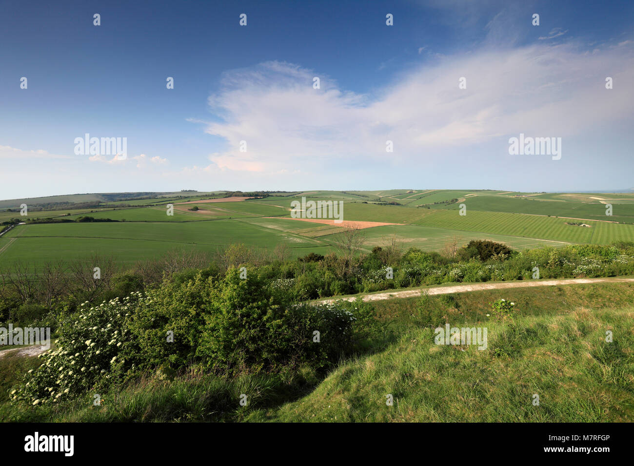 Sommer Blick auf die findon Downs, in der Nähe des Dorfes Findon, South Downs National Park, Sussex, England, Großbritannien Stockfoto