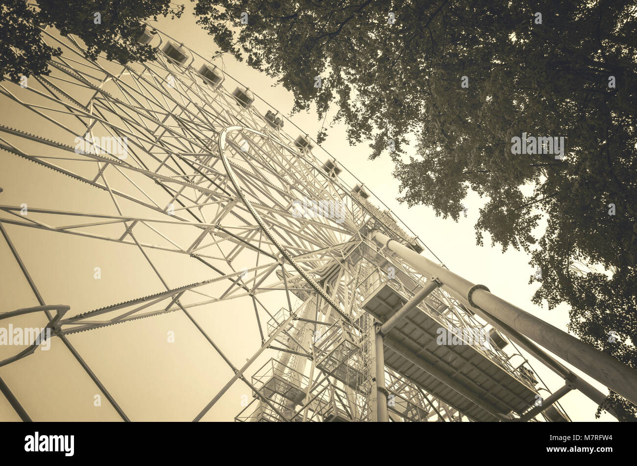 Riesenrad in der Nähe von Zweige von Bäumen im Vergnügungspark, Schwarz und Weiß. Ansicht von unten auf das Riesenrad in der Nähe von Zweige von Bäumen Stockfoto