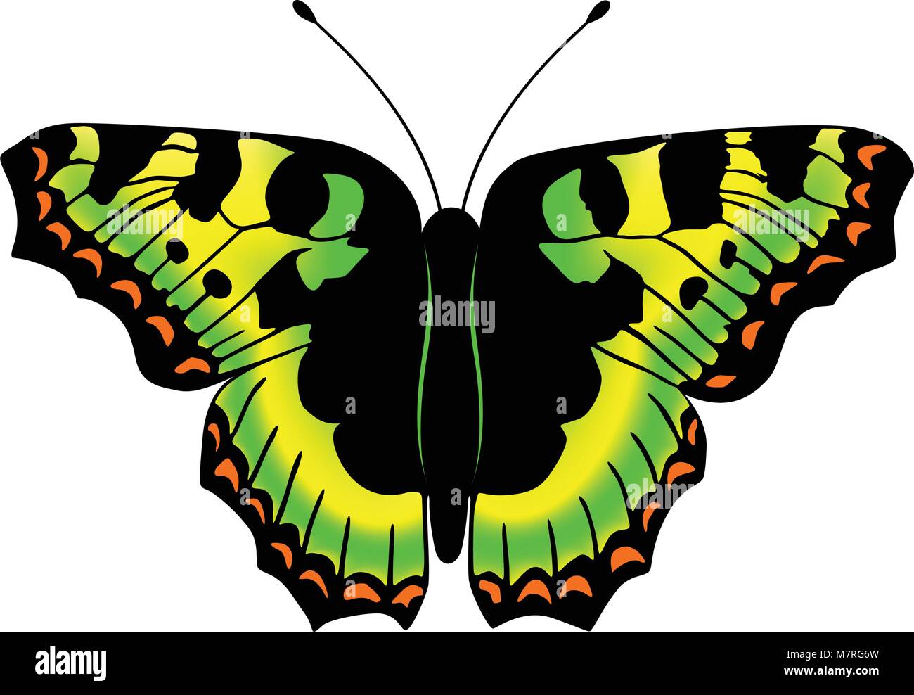 Vektor-Schmetterling. Abbildung in EPS 10 gemacht. Stock Vektor