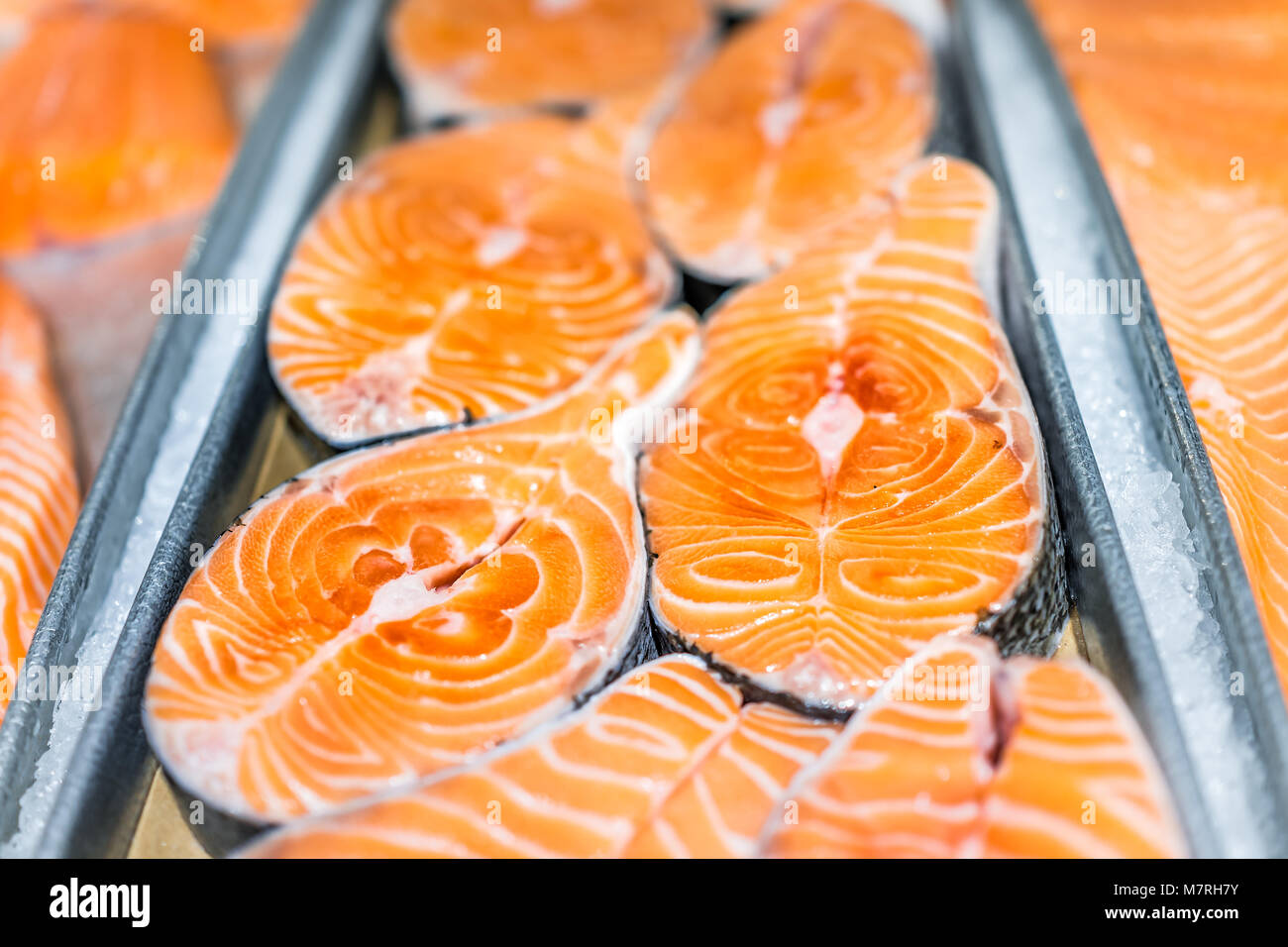 Nahaufnahme der viele frische Auswahl Lachs schneiden Steaks Fisch in Seafood Market shop Anzeige Fach orange große Farm Fett angehoben marmoriert Stockfoto