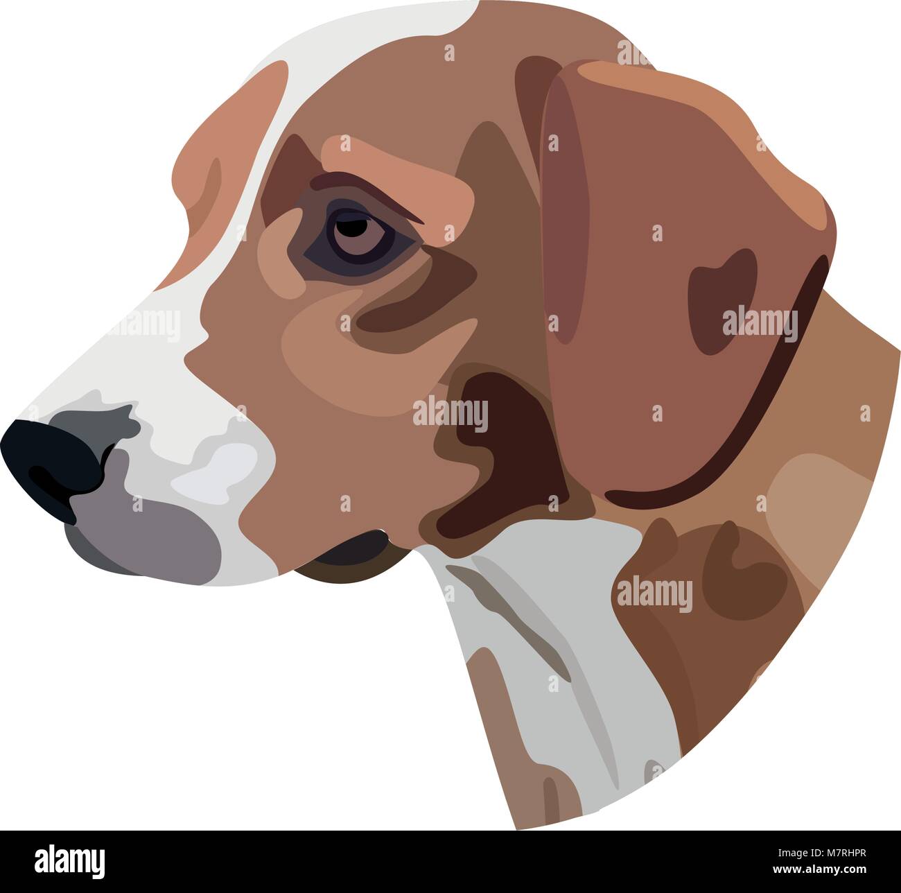 Illustration der Kopf des Hundes auf weißem Hintergrund Stock Vektor