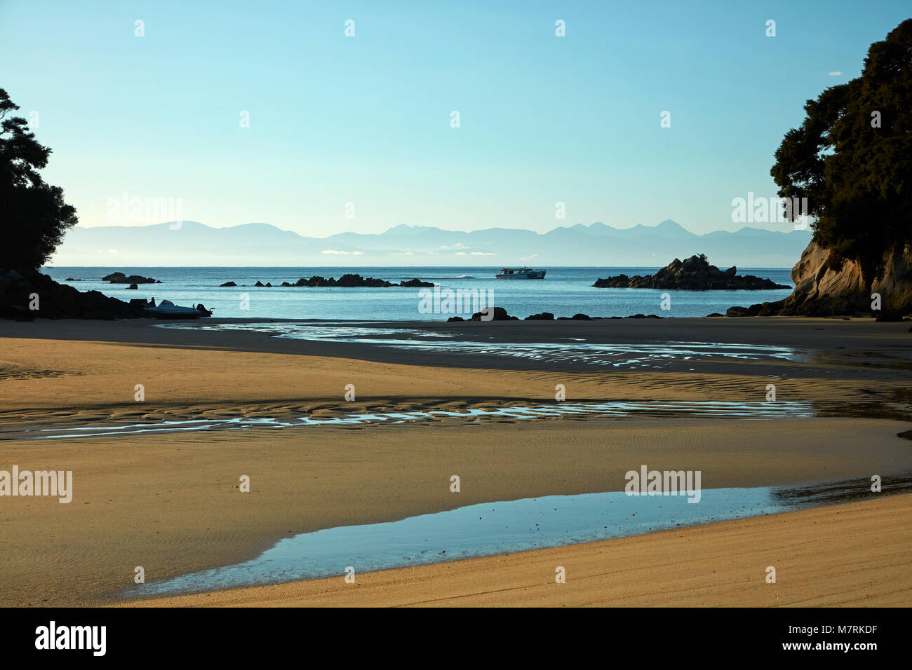 Ebbe, Mosquito Bay, Abel Tasman National Park, Nelson, Südinsel, Neuseeland Stockfoto