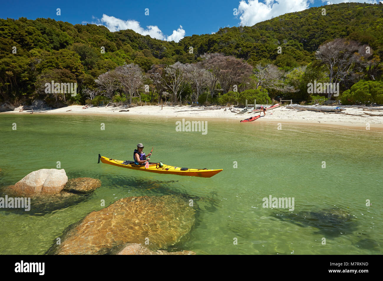 Kayaker, Mosquito Bay, Abel Tasman National Park, Nelson, Südinsel, Neuseeland (Model Released) Stockfoto
