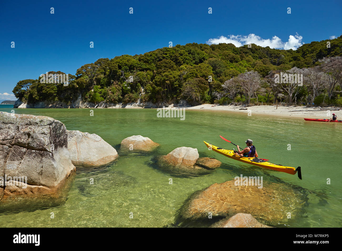 Kayaker, Mosquito Bay, Abel Tasman National Park, Nelson, Südinsel, Neuseeland (Model Released) Stockfoto
