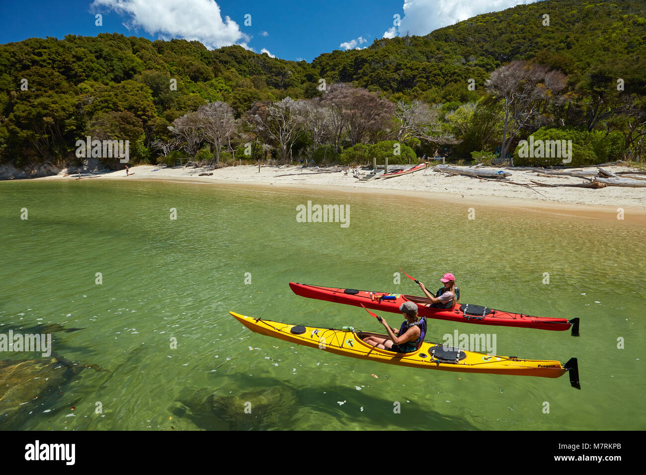 Kajakfahrer, Mosquito Bay, Abel Tasman National Park, Nelson, Südinsel, Neuseeland (Model Released) Stockfoto