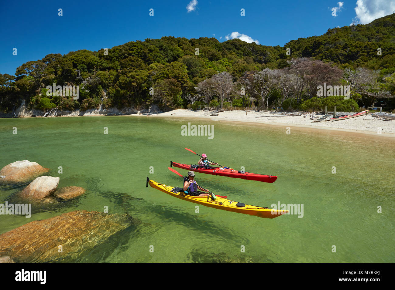 Kajakfahrer, Mosquito Bay, Abel Tasman National Park, Nelson, Südinsel, Neuseeland (Model Released) Stockfoto
