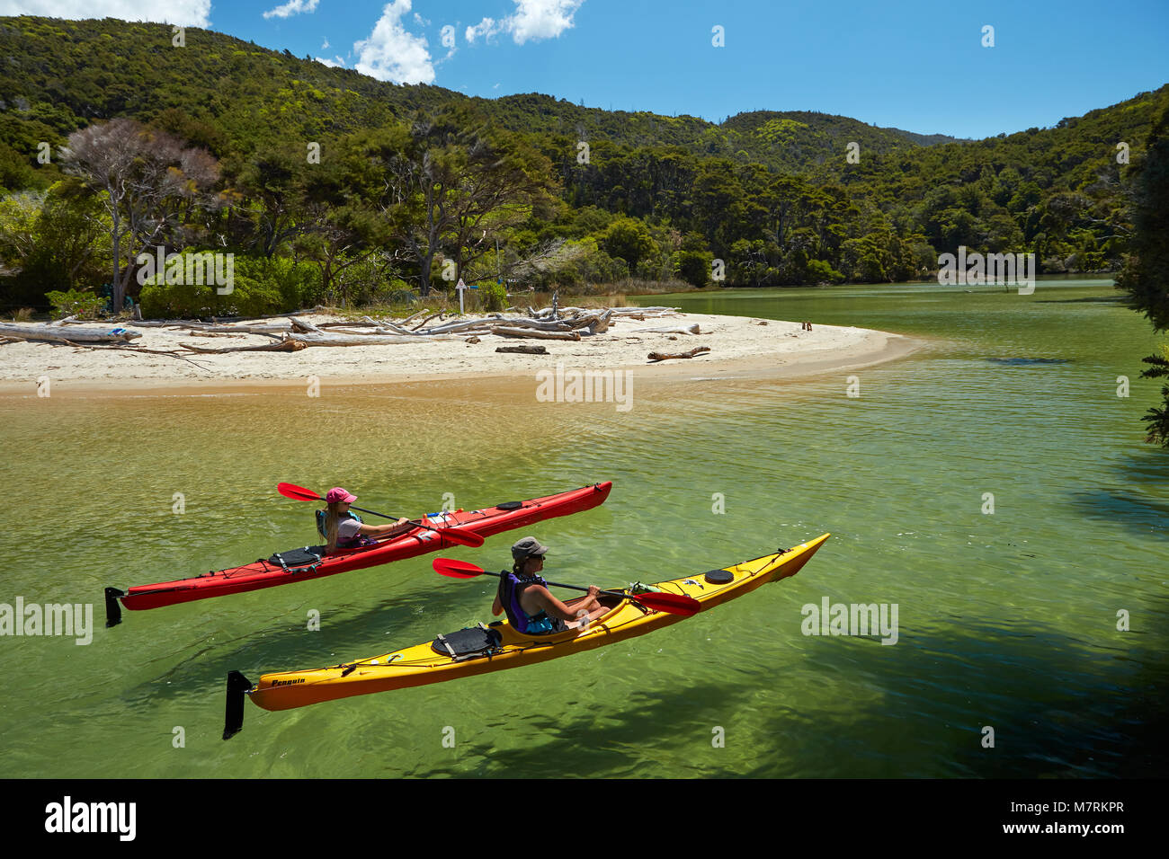 Kajakfahrer, Mosquito Bay, Abel Tasman National Park, Nelson, Südinsel, Neuseeland (Model Released) Stockfoto