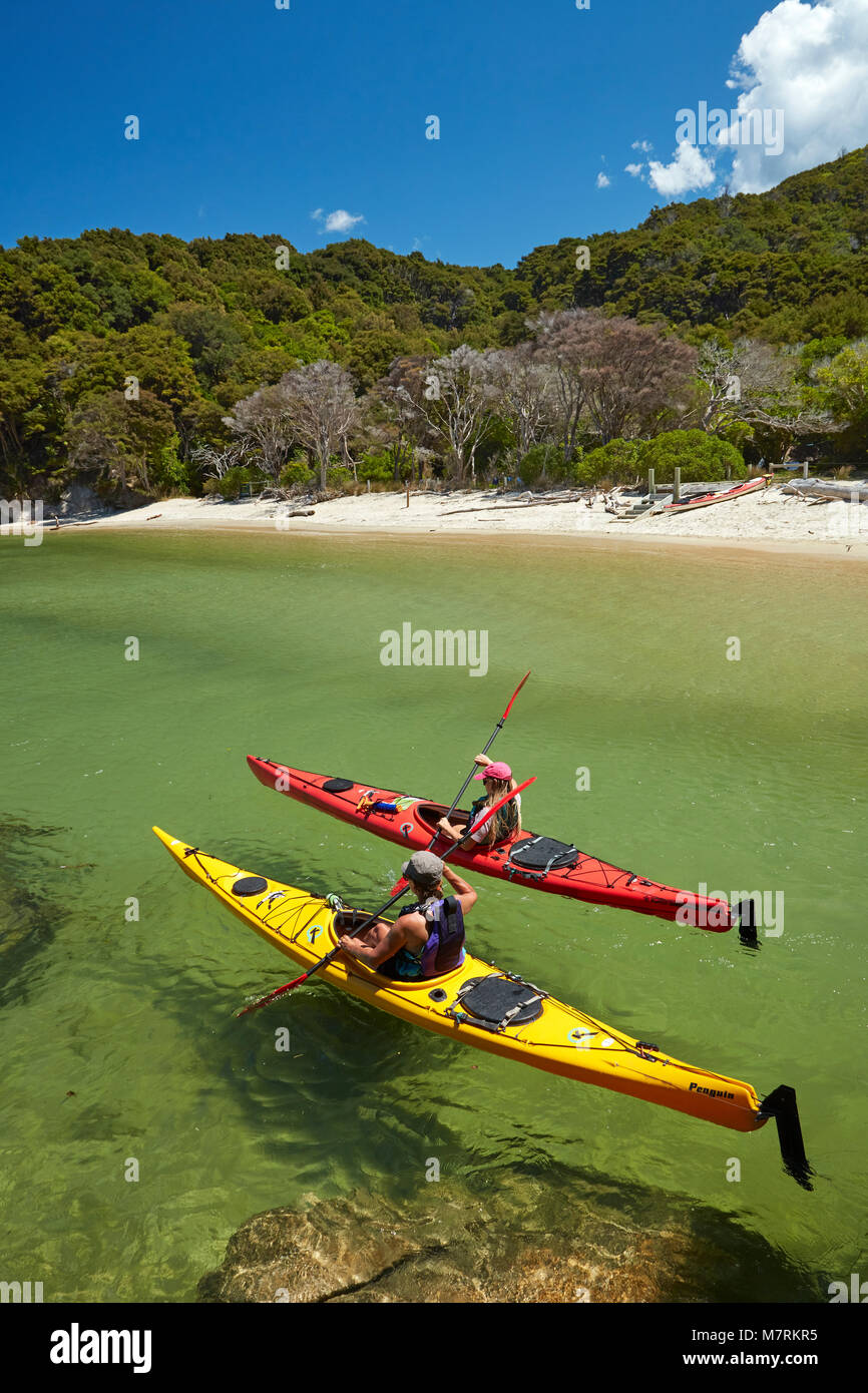 Kajakfahrer, Mosquito Bay, Abel Tasman National Park, Nelson, Südinsel, Neuseeland (Model Released) Stockfoto