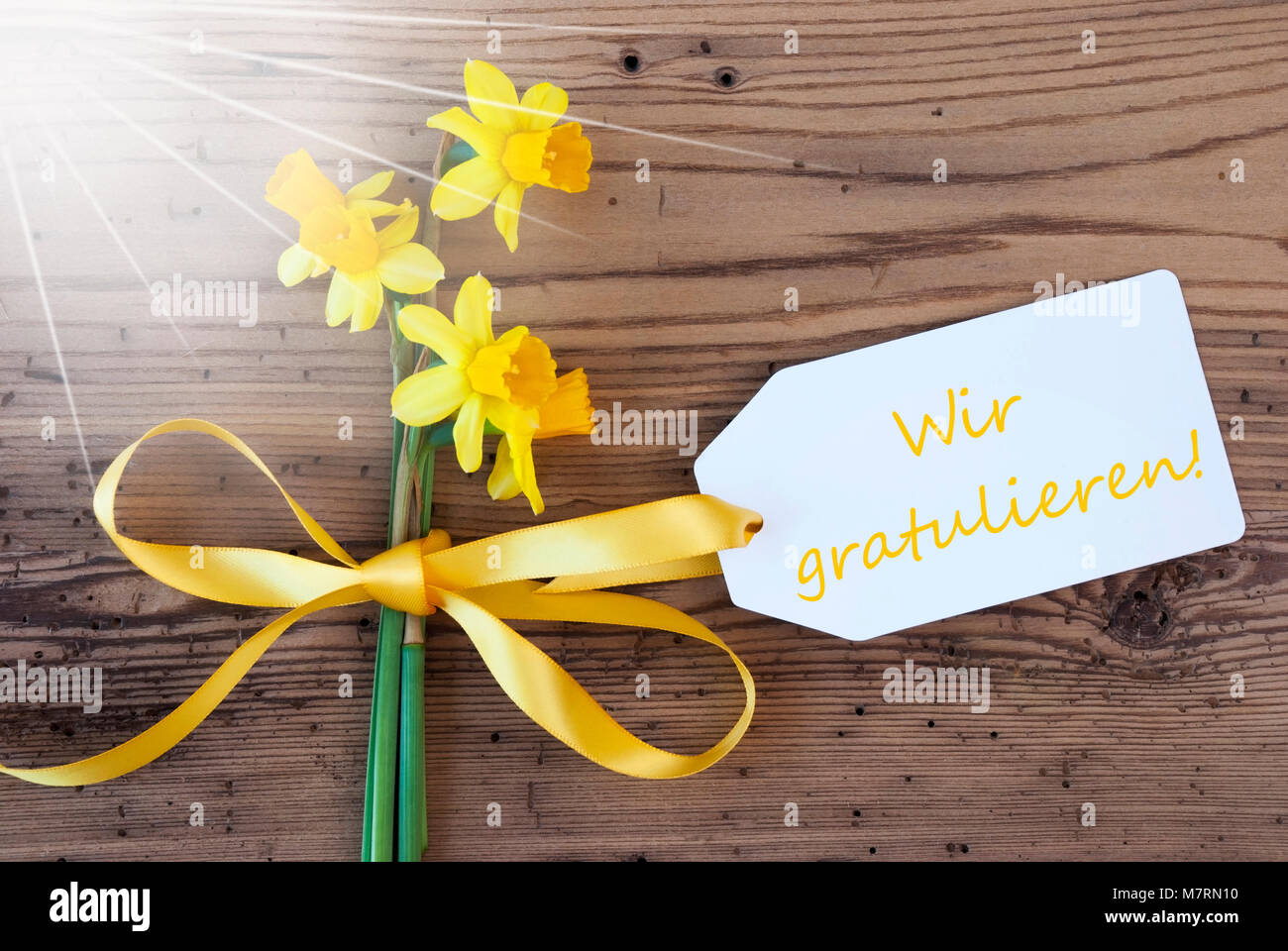 Sonnige Frühling Narzissen, Label, Wir gratulieren: Herzlichen Glückwunsch! Stockfoto