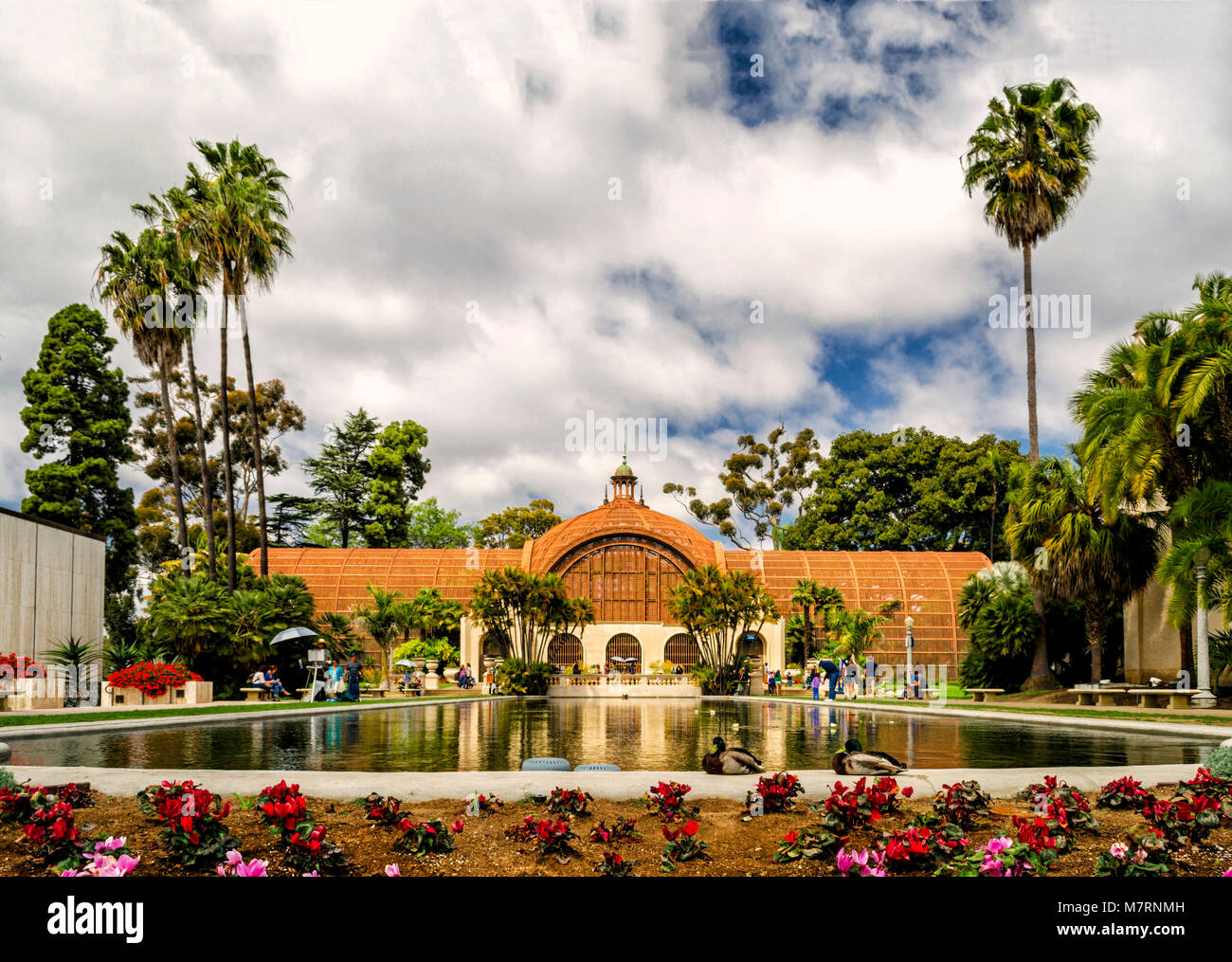 Balboa Park Botanischer Garten Teich Palmen Wasser Rote