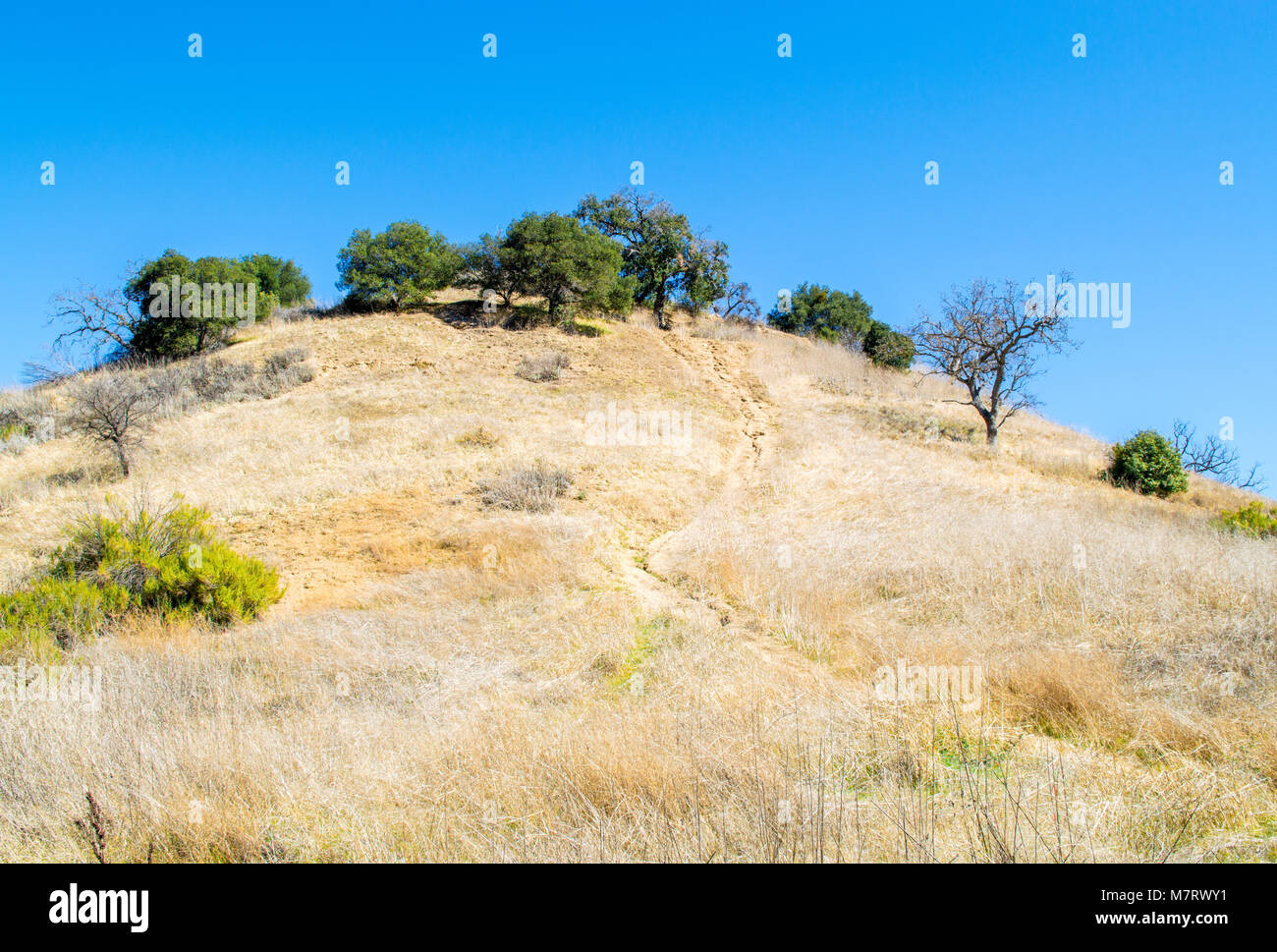 Robuste Schmutz weg bis eine rollende Hügel, grüne Bäume an der Oberseite in Malibu, Kalifornien, USA Stockfoto