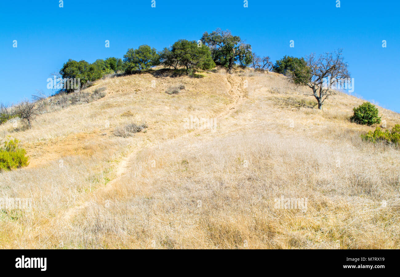 Robuste Schmutz weg bis eine rollende Hügel, grüne Bäume an der Oberseite in Malibu, Kalifornien, USA Stockfoto