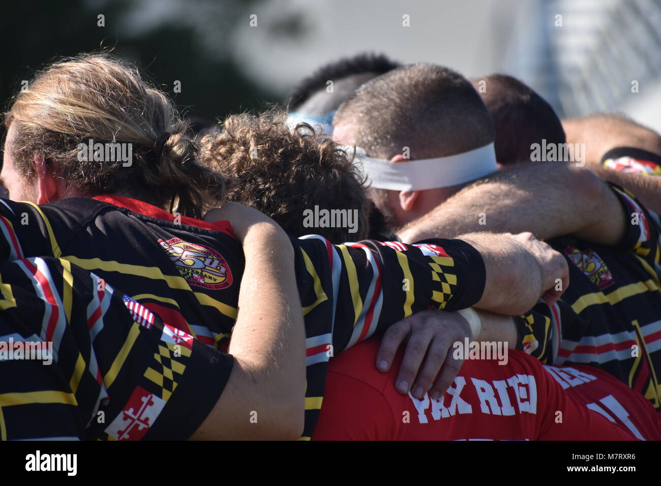 Rugby Team unordnungen vor dem Match. Stockfoto