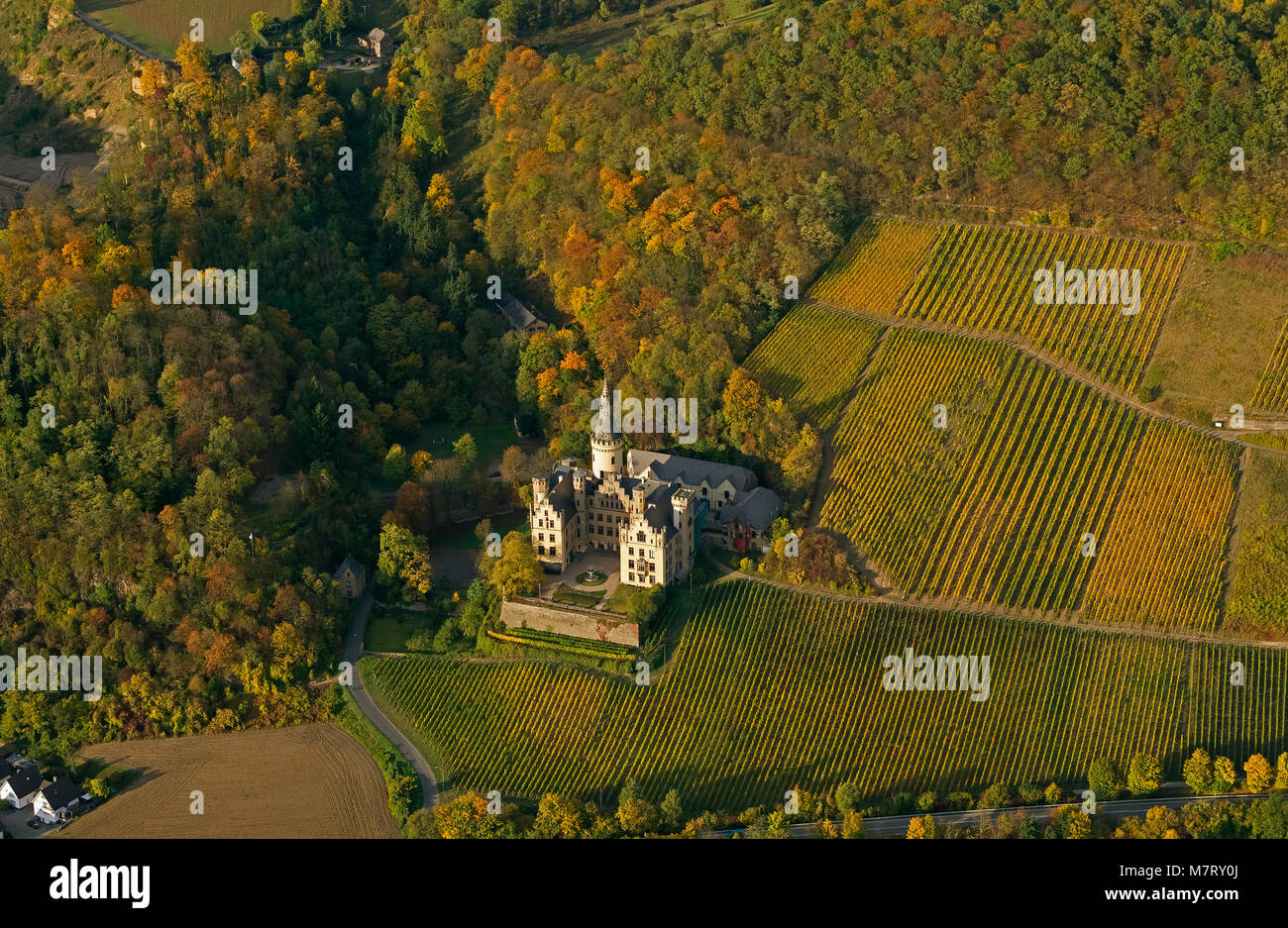 Luftaufnahme, Herbst im Rheintal, Schloss, Schloss Arensfels Arensfels, Gerlach vo Isenburg, Bad Hönningen, Rheinland, Rheintal, Rhineland-Pa Stockfoto