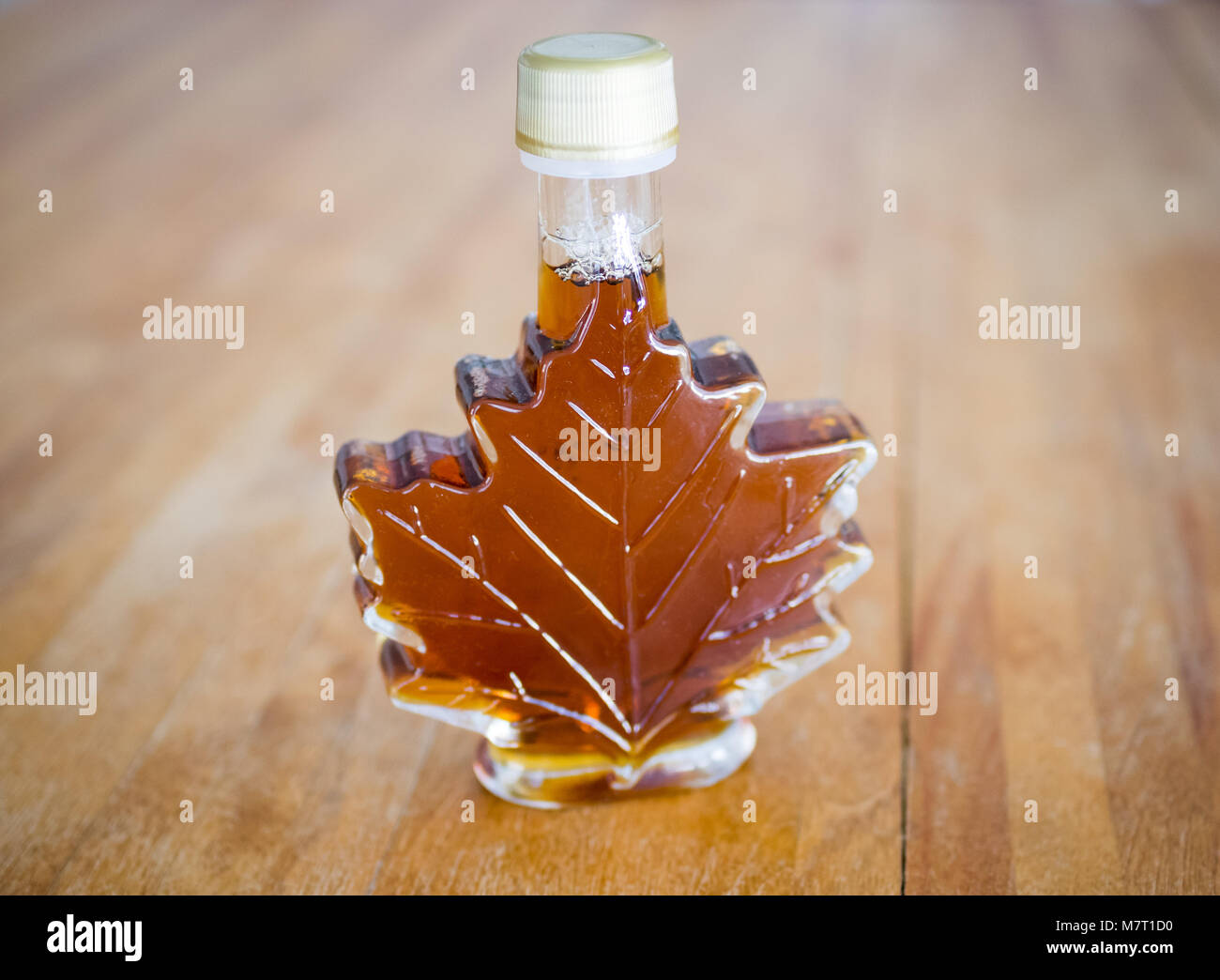 Echten kanadischen Ahornsirup in ein Glas Ahorn Sirup Flasche. Stockfoto