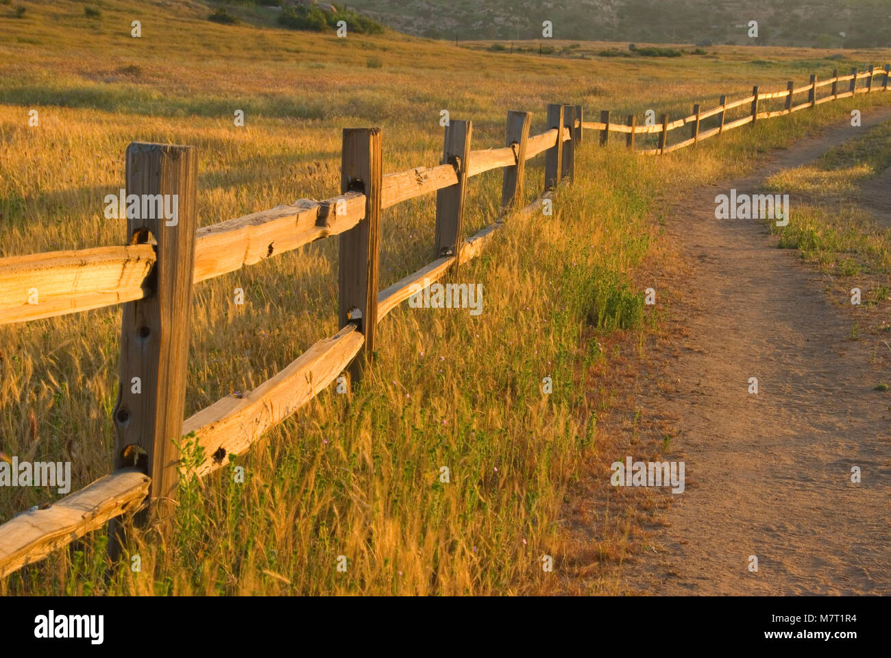 Zaun entlang Klapperschlange Trail, Barnett Ranch Open Space Preserve, San Diego County, Kalifornien Stockfoto