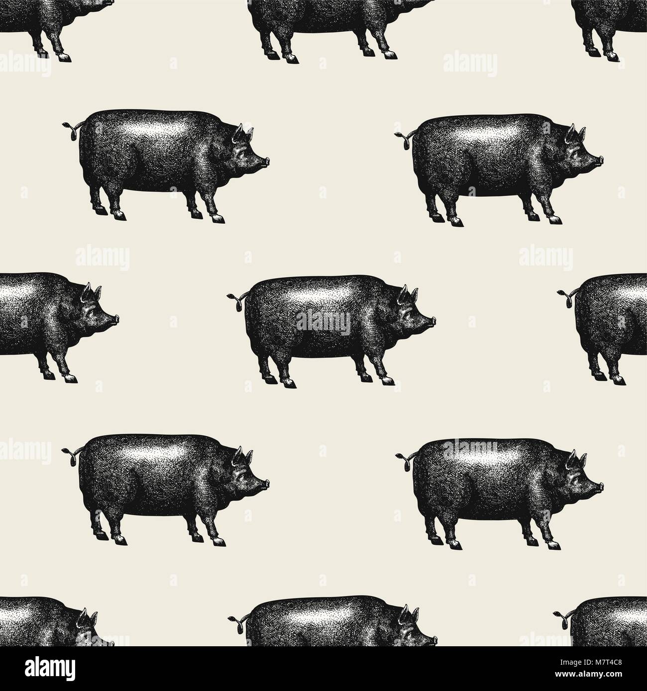 Nahtlose farm Vektor Muster. Grafische Schwein Silhouette, Hand gezeichnet retro Illustrationen. Vintage Nutztiere Hintergrund. Stock Vektor