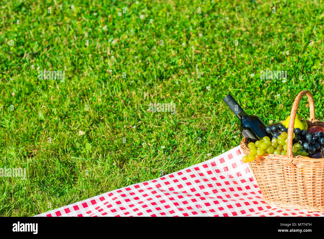 Wein und Raum zum Schreiben auf der linken Frame auf die grüne Wiese Stockfoto