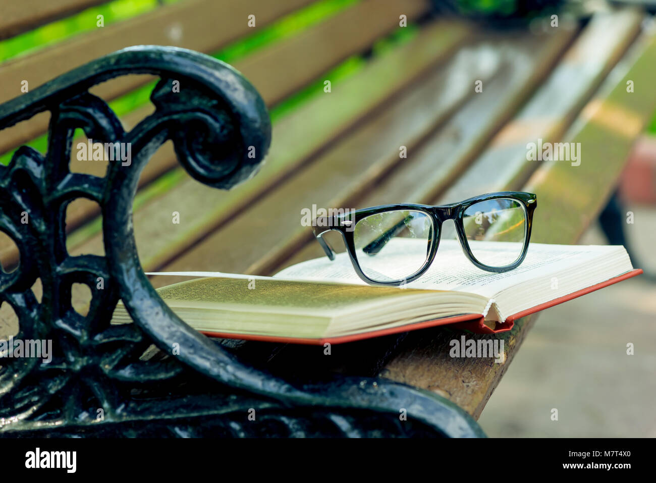 Ein offenes Buch und Gläser liegen am Rande einer Bank im Park Stockfoto