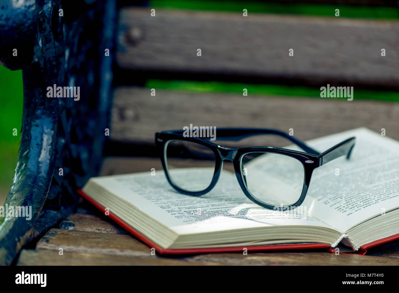 Offenes Buch und Schwarz stilvolle Gläser auf einer Holzbank im Park, Nahaufnahme Stockfoto