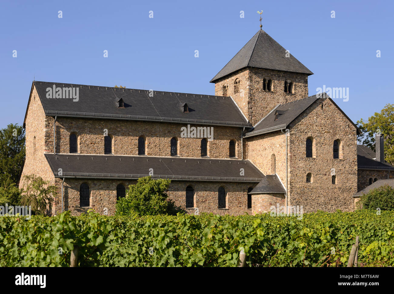 Mittelheim Basilika, Oestrich-Winkel, Rheingau, Hessen, Deutschland Stockfoto