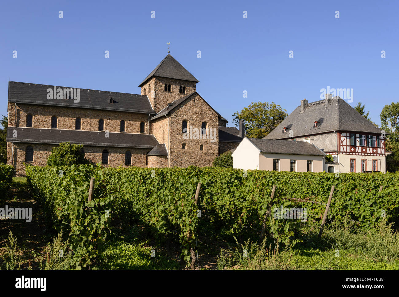 Mittelheim Basilika, Oestrich-Winkel, Rheingau, Hessen, Deutschland Stockfoto