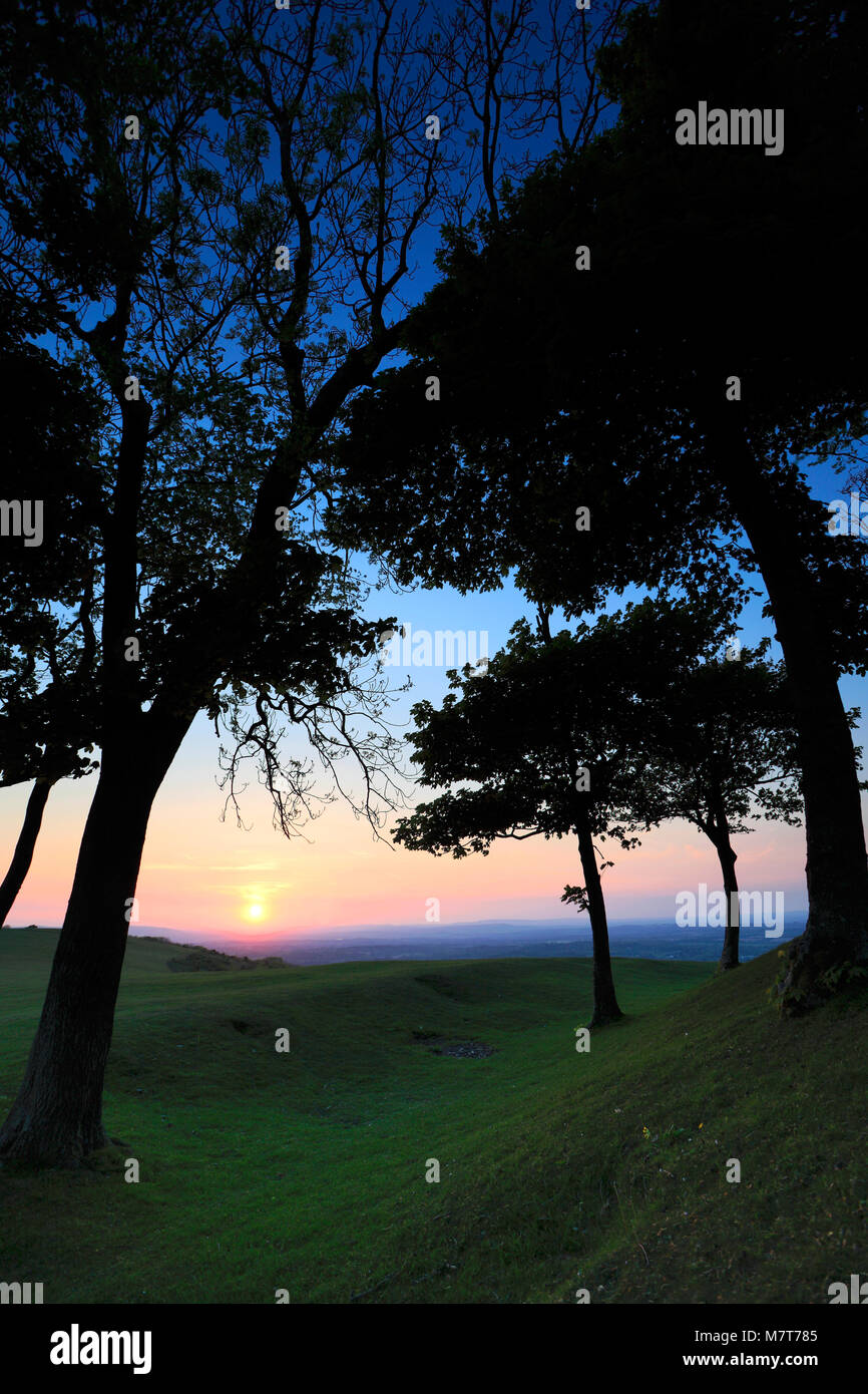Sommer Sonnenuntergang über Chanctonbury Ring, South Downs National Park, Sussex, England, Großbritannien Stockfoto