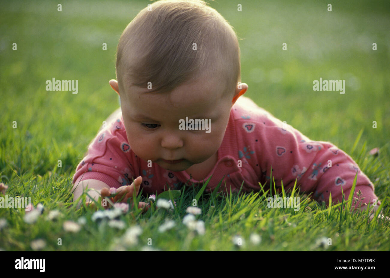 Baby girl liegend auf Bauch im Garten erkunden Gänseblümchen Stockfoto