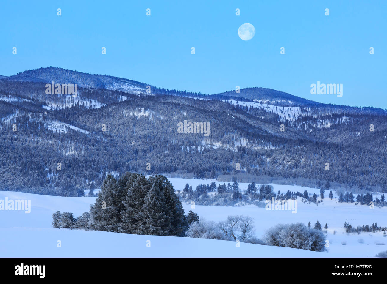 Mond über der Granat Angebot im Winter in der Nähe von Helmville, Montana Stockfoto