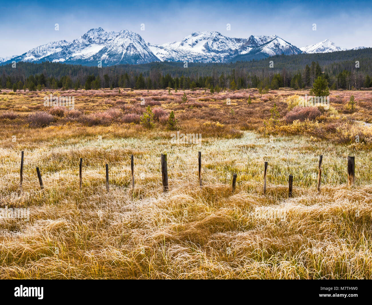 Merritt Peak, Williams Peak, Herbst, Sawtooth Mountains, Sägezahn Natl Wald, von Ponderosa Pine Scenic Byway, in der Nähe von Stanley, Idaho, USA Stockfoto