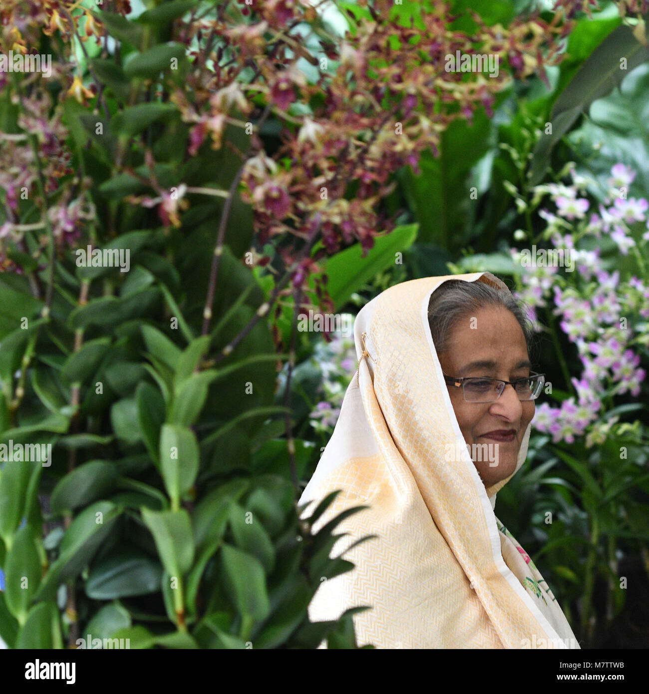 (180313) - Singapur, 13. März 2018 (Xinhua) - bangladeschs Premierministerin Sheikh Hasina steht neben Orchideen in ihrer Ehre an der Singapur National Orchid Garden März 13, 2018 benannt. (Xinhua / Dann Chih Wey) (jmmn) Stockfoto