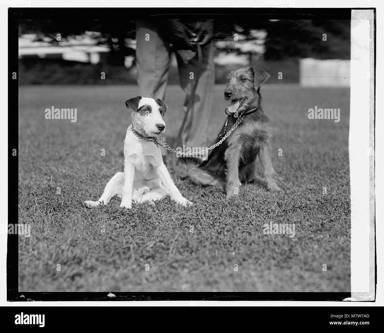 Eine Fotografie der Figuren Peter Pan und Laddie Buck, möglicherweise aus einer Theater- oder Filmproduktion. Das Bild fängt das Wesen dieser legendären Charaktere in ihren jeweiligen Geschichten ein. Stockfoto