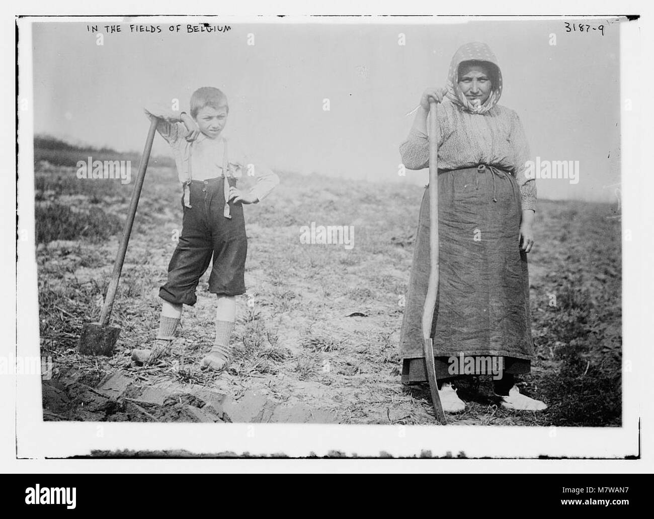 Dieses Bild zeigt eine ländliche Szene aus Belgien, die die Felder und die Landschaft des Landes zeigt. Sie spiegelt das landwirtschaftliche Leben und die natürliche Schönheit der Region wider. Stockfoto