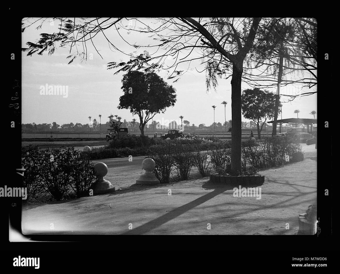 Ägypten. Kairo. Gezira Gardens & Sport LOC 17915 matpc. Stockfoto