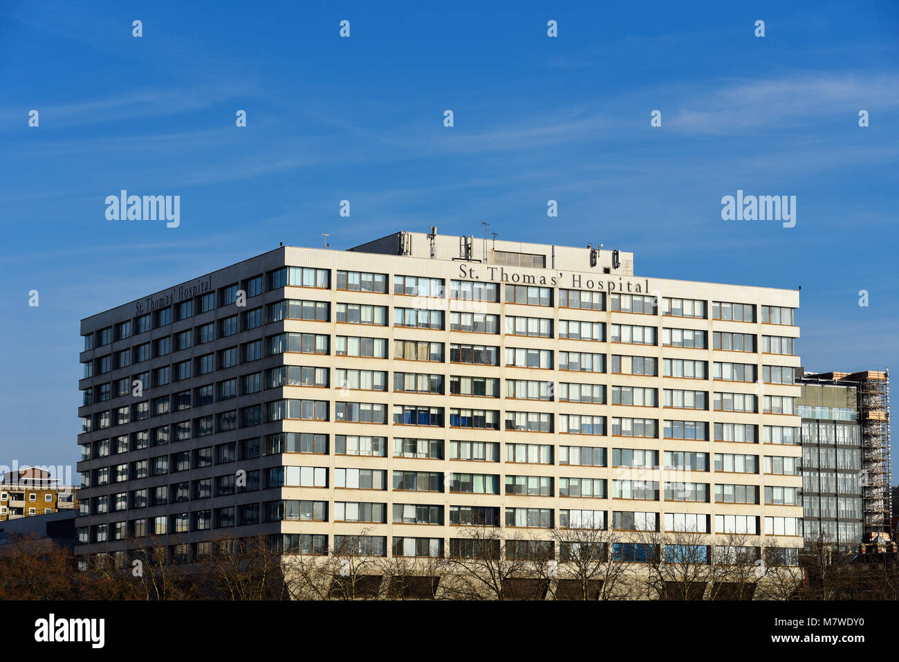 St Thomas' Hospital, London, UK. NHS Teaching Hospital in London. Guy's und St Thomas' NHS Foundation Trust Stockfoto